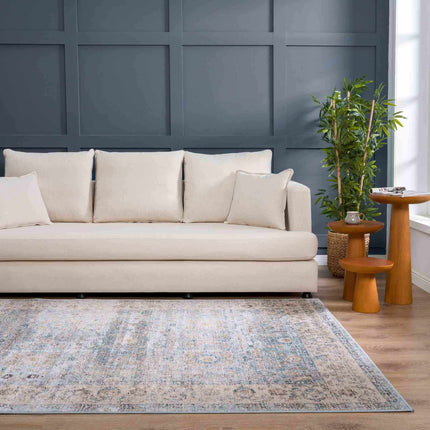 Anana Silver Blue & Beige Area Rug - Clearance Rugs TriadCommerceInc