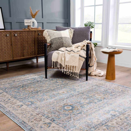 Anana Silver Blue & Beige Area Rug - Clearance Rugs TriadCommerceInc