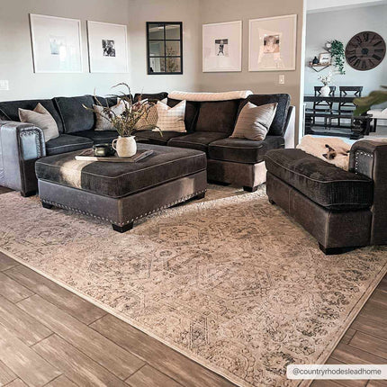 Parkerfield Area Rug Rugs TriadCommerceInc