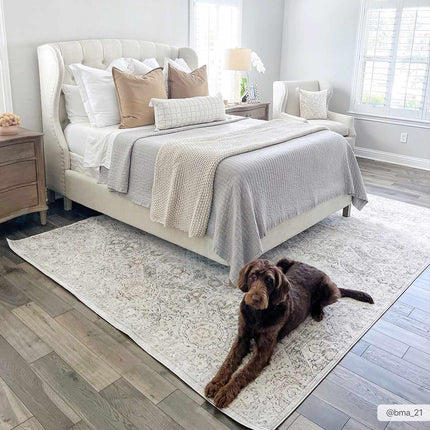Parkerfield Area Rug Rugs TriadCommerceInc
