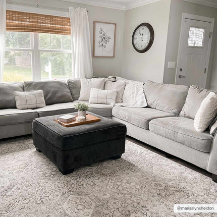 Parkerfield Area Rug Rugs TriadCommerceInc