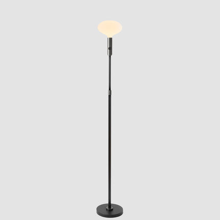 Poise Adjustable Floor Lamp in Graphite + Oval II Floor Lamps TriadCommerceInc Graphite