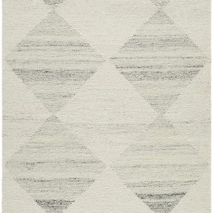 Rakin Area Rug Rugs TriadCommerceInc
