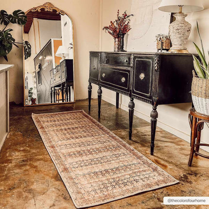 Rust Maligaya Distressed Washable Area Rug - Clearance Rugs TriadCommerceInc