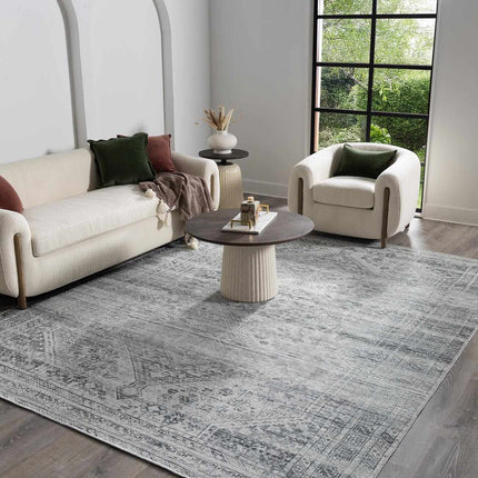 Barny Gray Blue Washable Rug Rugs TriadCommerceInc