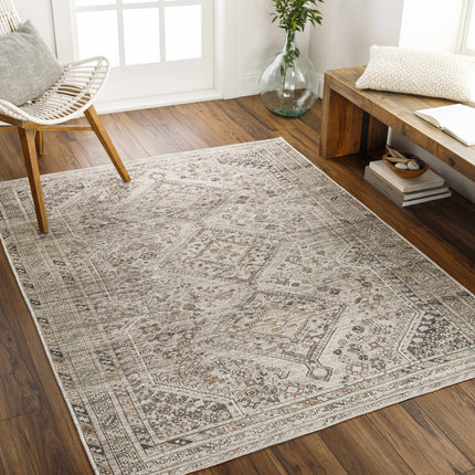 Barny Beige Flat Pile Washable Rug Rugs TriadCommerceInc