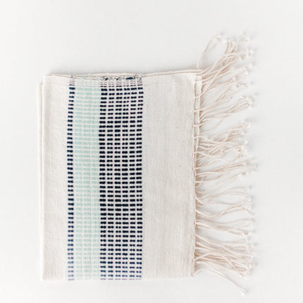 Camden Cotton Hand Towel Kitchen Towels TriadCommerceInc Azure and Navy  