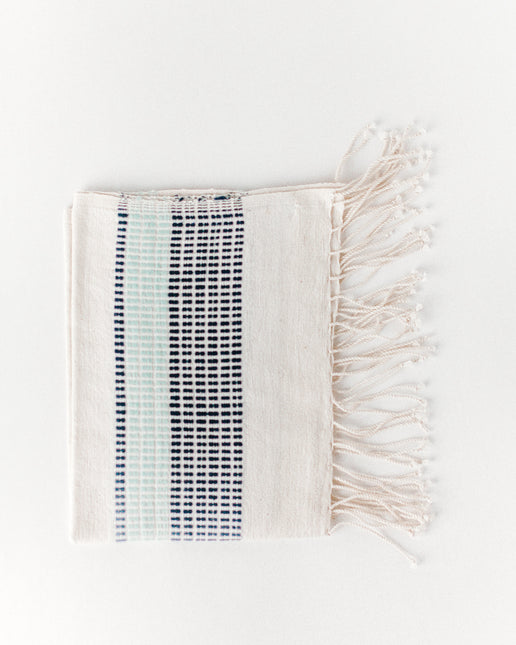 Camden Cotton Hand Towel Kitchen Towels TriadCommerceInc Azure and Navy  