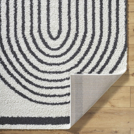 Bauer Plush Black Rainbow Rug - Clearance Rugs TriadCommerceInc