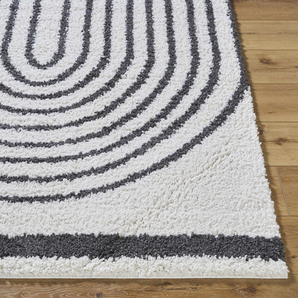 Bauer Plush Black Rainbow Rug - Clearance Rugs TriadCommerceInc