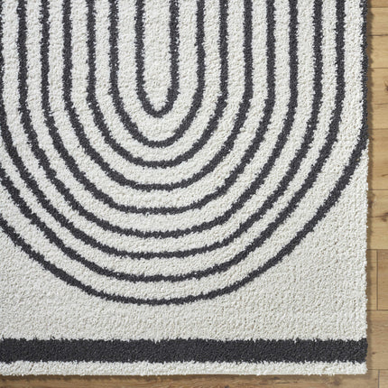 Bauer Plush Black Rainbow Rug - Clearance Rugs TriadCommerceInc