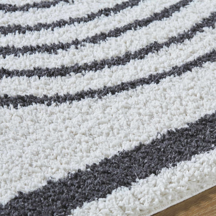 Bauer Plush Black Rainbow Rug - Clearance Rugs TriadCommerceInc 2' x 3' Rectangle