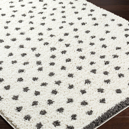 Chaia Dotted Black & White Plush Rug Rugs TriadCommerceInc