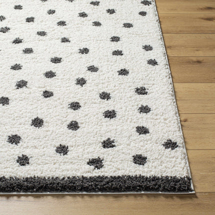 Chaia Dotted Black & White Plush Rug Rugs TriadCommerceInc