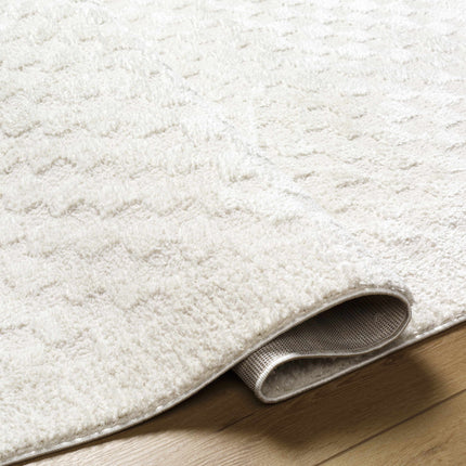 Leryn Ivory Checkered Area Rug Rugs TriadCommerceInc