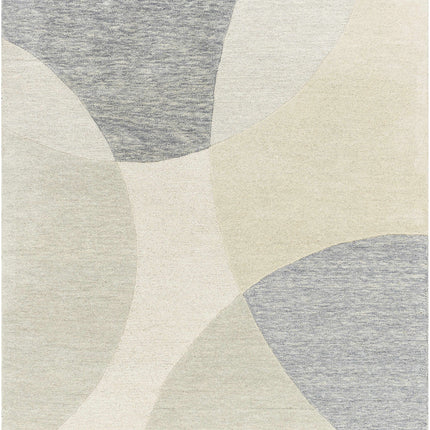 Cassiopeia Gray & Beige Area Rug Rugs TriadCommerceInc