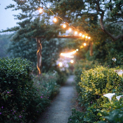 Outdoor LED Bistro String Lights 48 Feet String Lights TriadCommerceInc