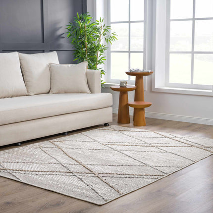 Baqer Bone & Tan Textured Performance Rug - Clearance Rugs TriadCommerceInc