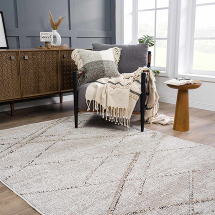 Baqer Bone & Tan Textured Performance Rug - Clearance Rugs TriadCommerceInc