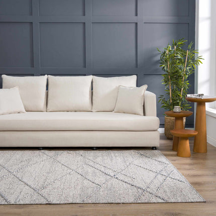 Baqer Taupe & Gray Textured Performance Rug - Clearance Rugs TriadCommerceInc