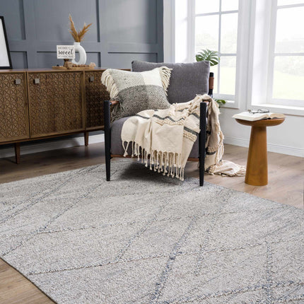 Baqer Taupe & Gray Textured Performance Rug - Clearance Rugs TriadCommerceInc