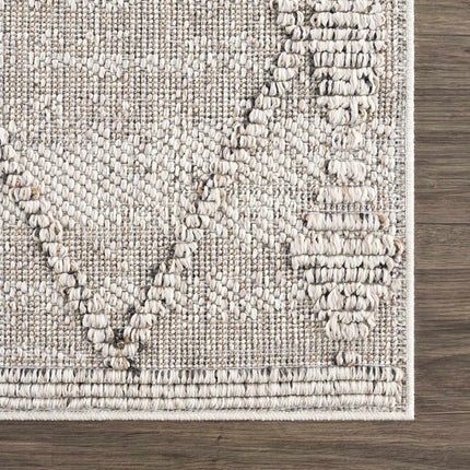 Nyla Bone Indoor & Outdoor Rug - 2x3 Clearance Rugs TriadCommerceInc