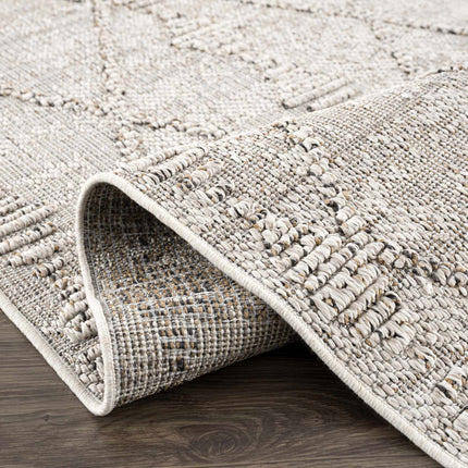 Nyla Bone Indoor & Outdoor Rug - 2x3 Clearance Rugs TriadCommerceInc