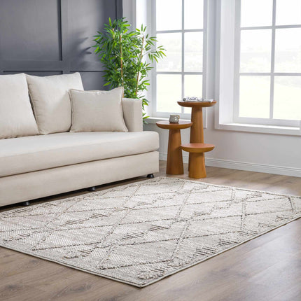 Nyla Bone Indoor & Outdoor Rug - 2x3 Clearance Rugs TriadCommerceInc