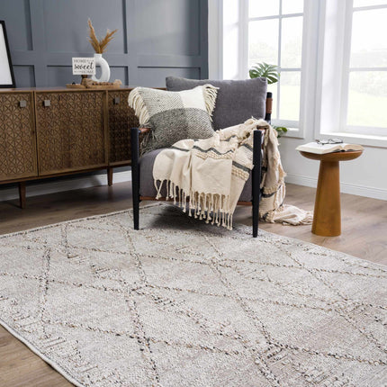 Nyla Bone Indoor & Outdoor Rug - 2x3 Clearance Rugs TriadCommerceInc