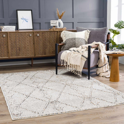 Nyla Bone Indoor & Outdoor Rug - 2x3 Clearance Rugs TriadCommerceInc