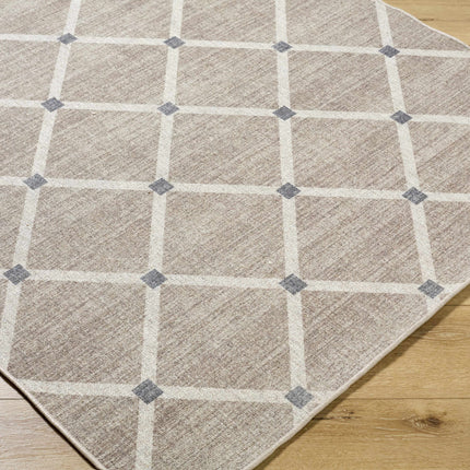 Alpana Washable Wool Area Rug Rugs TriadCommerceInc
