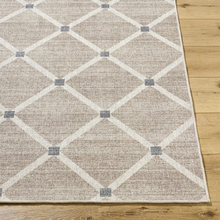 Alpana Washable Wool Area Rug Rugs TriadCommerceInc