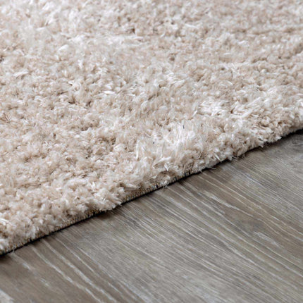 Siari Solid Oatmeal Shag Rug Rugs TriadCommerceInc