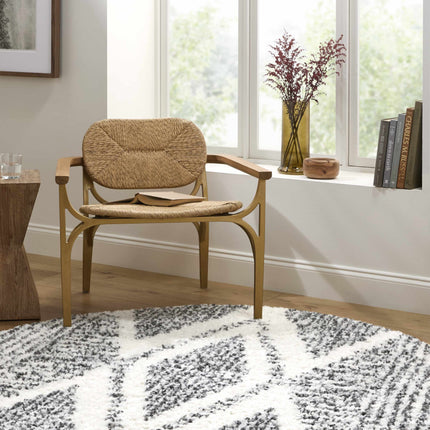 Trunding Plush Area Rug Rugs TriadCommerceInc