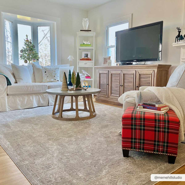 Tahmoor Gray Statement Rug - Clearance Rugs TriadCommerceInc