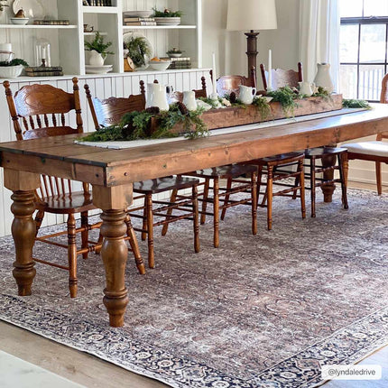 Tan Jill Vintage Washable Area Rug - Clearance Rugs TriadCommerceInc