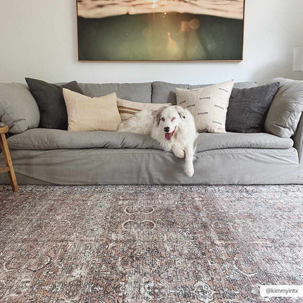 Tan Jill Vintage Washable Area Rug - Clearance Rugs TriadCommerceInc