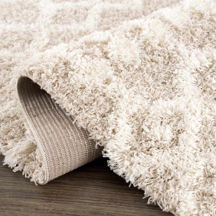 Prompton Cream Plush Area Rug Rugs TriadCommerceInc