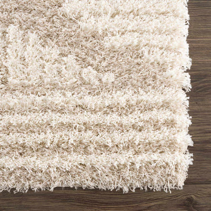 Igor Shag Area Rug Rugs TriadCommerceInc