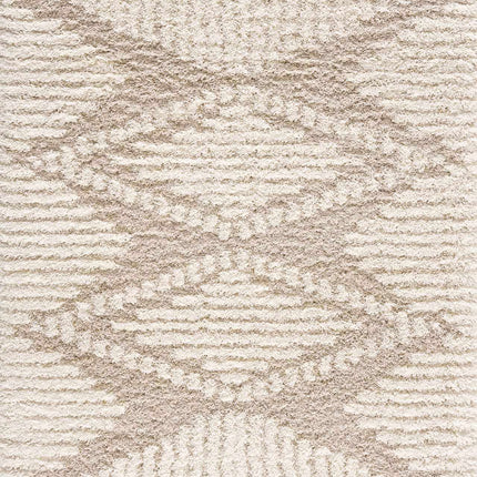 Igor Shag Area Rug Rugs TriadCommerceInc