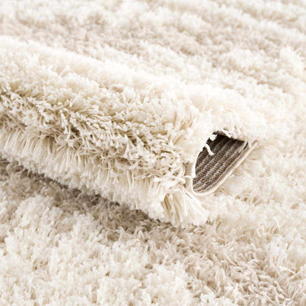 Igor Shag Area Rug Rugs TriadCommerceInc