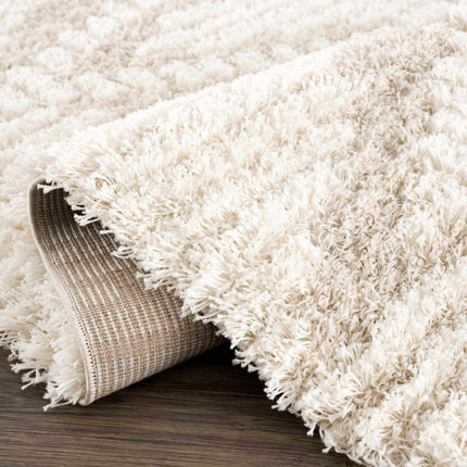 Igor Shag Area Rug Rugs TriadCommerceInc