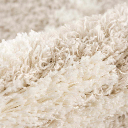 Igor Shag Area Rug Rugs TriadCommerceInc
