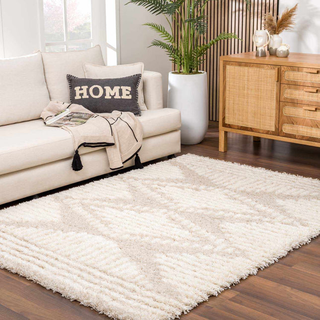 Igor Shag Area Rug Rugs TriadCommerceInc