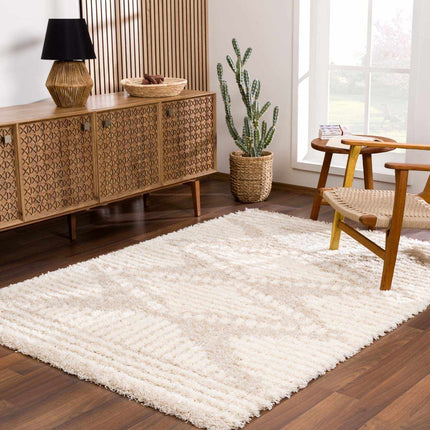 Igor Shag Area Rug Rugs TriadCommerceInc 5'3" x 7'3" Rectangle