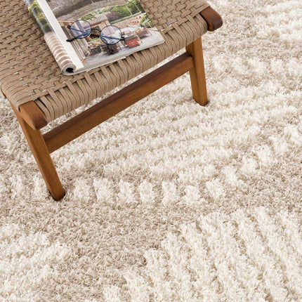 Igor Shag Area Rug Rugs TriadCommerceInc