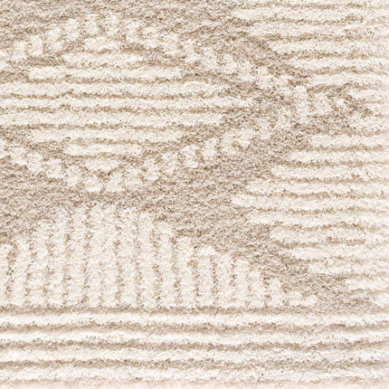 Igor Shag Area Rug Rugs TriadCommerceInc