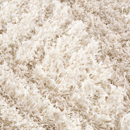 Igor Shag Area Rug Rugs TriadCommerceInc