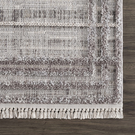 Barurao Area Rug - Clearance Rugs TriadCommerceInc