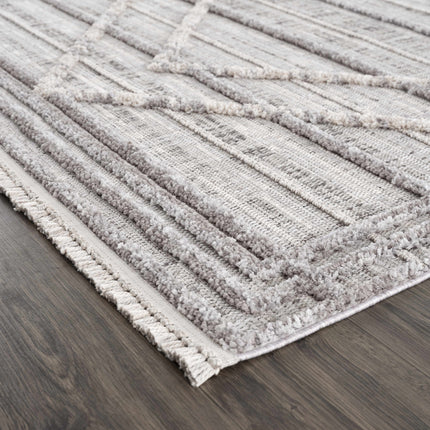 Barurao Area Rug - Clearance Rugs TriadCommerceInc